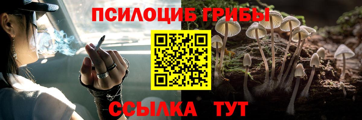 Псилоцибиновые грибы ЛСД Печора